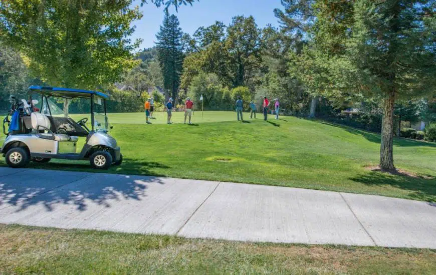 How Long Does It Generally Take To Golf 9 Holes Using A Golf Cart?